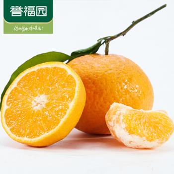 四川青见柑橘9斤大果装新鲜水果非丑橘