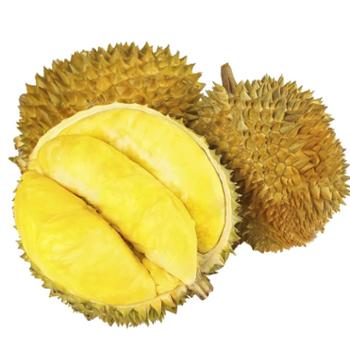 渝橙源江 包4房 软糯新鲜金枕榴莲A果 单果净重4-10斤/箱 顺丰发货