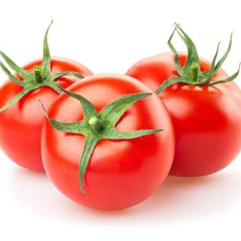 禧柿纪 普罗旺斯西红柿 4-4.5斤