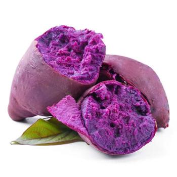 浙神禾 紫薯 5斤/9斤