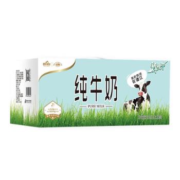 遵义 纯牛奶 200ml*15盒