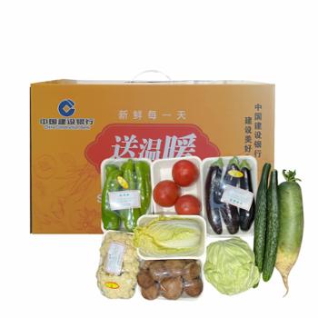 大司马 蔬菜礼盒 套餐二（建行工会送温暖） 9种蔬菜各一盒，总重约6kg