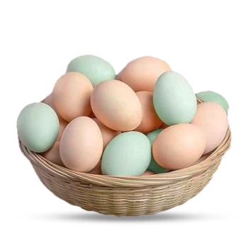 百食轩 散养 土鸡蛋+绿壳鸡蛋 组合 20枚/40枚 （ 约900g/1800g）