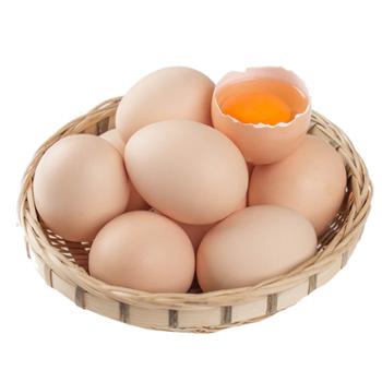 食果源 农家鲜鸡蛋 40枚装约1.8kg