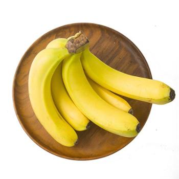都乐 菲律宾超甜香蕉2把 1.2kg以上