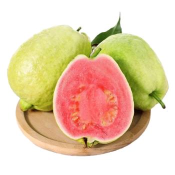 誉满 树上熟芭乐番石榴 4.5-5斤装