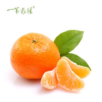 一苇农佳 湖北省秭归县三峡蜜桔蜜橘 2.5kg