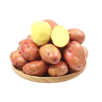 鑫鲜聚 红皮小土豆 整箱3-9斤(约5个/斤) 粉糯 黄心