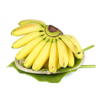 果源贡 广西香蕉新鲜小米蕉新鲜应季水果 5斤/9斤