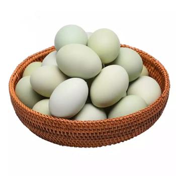 鲜果果 新鲜绿壳鸡蛋 10枚装 约重0.4kg