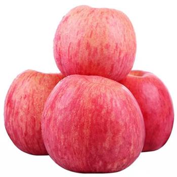 鲜果果 陕西洛川红富士苹果 净重4.5斤/8.5斤