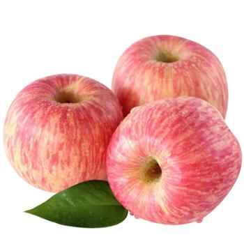 鲜进生 新鲜现摘水果红富士脆甜苹果 9斤大果