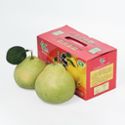 仙溪 仙游度尾文旦柚 精选礼盒装2个 八一场40年老树