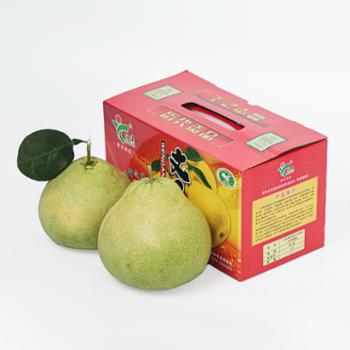仙溪 仙游度尾文旦柚 精选礼盒装2个 八一场40年老树