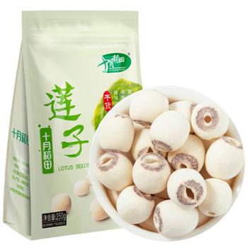十月稻田 莲子 250g
