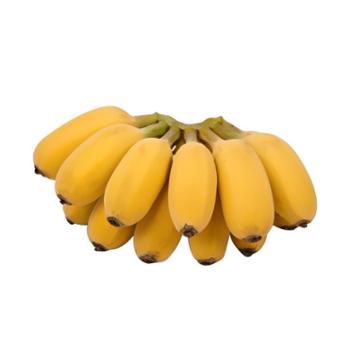 楚肴汇 小米蕉当季新鲜水果 3斤（单根40g左右）