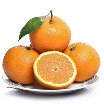 伊果农业 现摘四川青见果冻橙 单果果径75mm以上 5斤/9斤