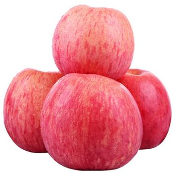 乡友集 洛川苹果9.5斤装彩箱 （90-95mm果）大约12-16枚
