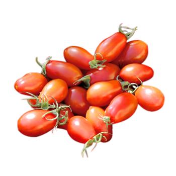 密云农业 自种花生小番茄 新鲜番茄 皮薄味甜西红柿 花生小番茄2斤