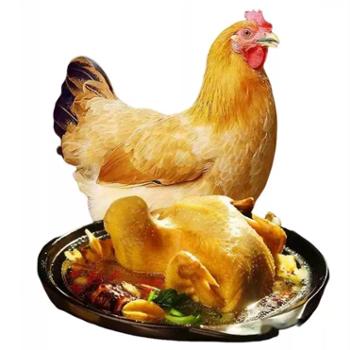 我老家 老母鸡 顺丰冷链现杀新鲜冷冻鸡 1250g/只*3只装