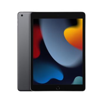 Apple iPad 10.2英寸平板电脑2021年款 WIFI版 A2602
