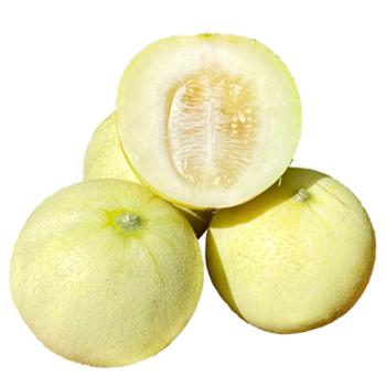 帝伊果 郁金香小香瓜 3斤/4.5斤/5斤 单果约150-300g/单果300g