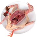 帝伊果 新鲜现杀乳鸽 300g/350g