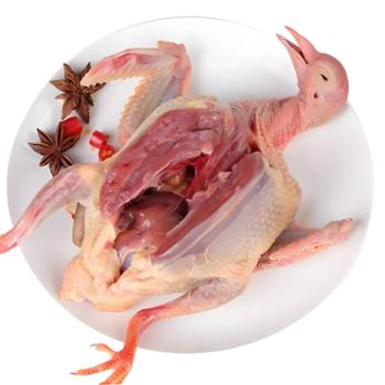 帝伊果 新鲜现杀乳鸽 300g/350g