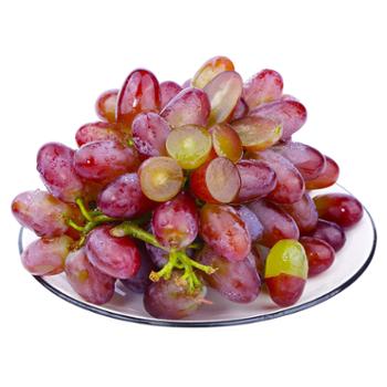 帝伊果 云南茉莉香葡萄 单串150g 净重1斤/2斤/3斤/4斤/5斤