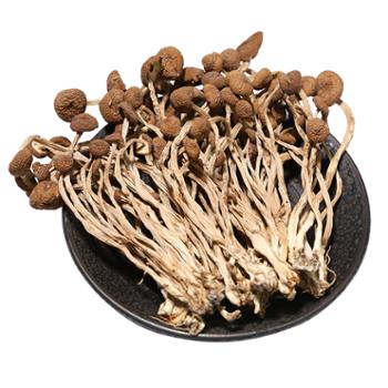 财梁 茶树菇 250g