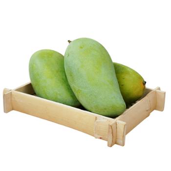 桂乡水滴 海南金煌芒中果单果重250g+ 4.5斤（5-9个）/8斤（10-15个