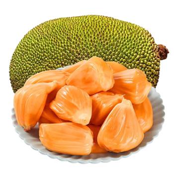 沁福道 红肉菠萝蜜 红心波罗蜜干苞大果 带壳15-20斤